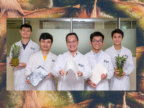 El profesor adjunto Duong Hai-Minh (centro) y su equipo de Ingeniería Mecánica de la NUS desarrollaron una técnica que convierte las fibras de la hoja de piña en crear aerogeles ultraligeros y biodegradables.