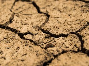 Drought in Europe decreases carbon uptake and crop yields