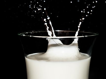 Vereinigung ischer Milchverarbeiter (VÖM)