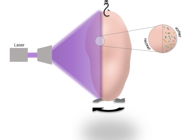 Laser Zentrum Hannover e.V. (LZH)