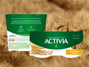 Design der Activia Verpackung mit dem „Oft länger gut“-Hinweis