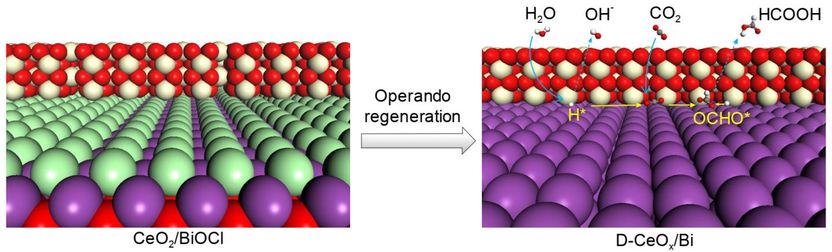 ©Science China Press