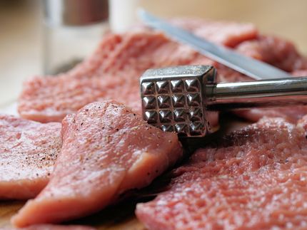 Importstopp für Schweinefleisch aus Deutschland