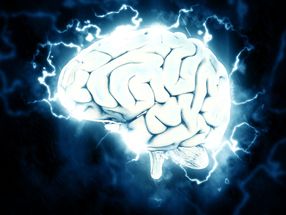 Risiko-Gen für Alzheimer wirkt sich frühzeitig auf das Gehirn aus
