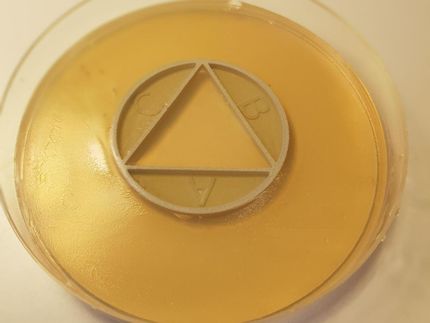 Antibiotika-Wechselwirkungstests leicht gemacht