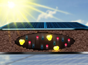 Wie sich Ladungen in Solarzellen bewegen