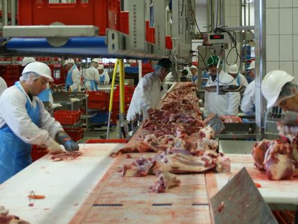 Arbeitsschutzkontrollgesetz: Fleischwarenindustrie fordert Öffnung