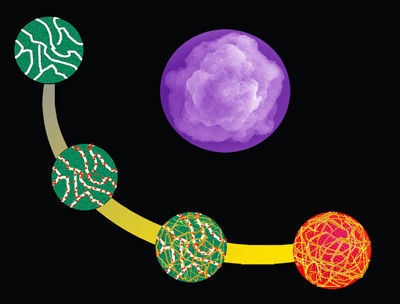 © Dr. X. Yan / MPI of Colloids and Interfaces