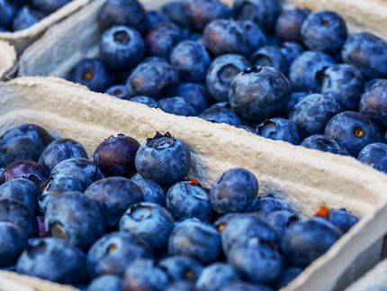 Berry good news -- new compound from blueberries could treat inflammatory disorders