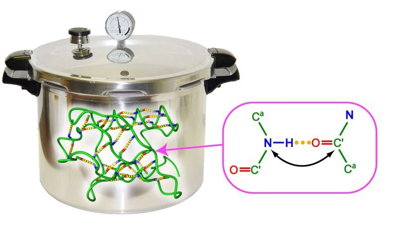 Neue Technologie ermöglicht tiefen Blick in Proteinstrukturen