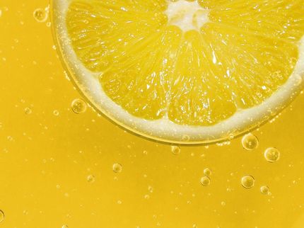 Kerry Unveils Unique Citrus Extract Technology