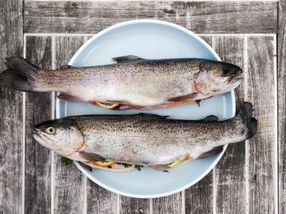 Peligro invisible: Listeria en el pescado ahumado