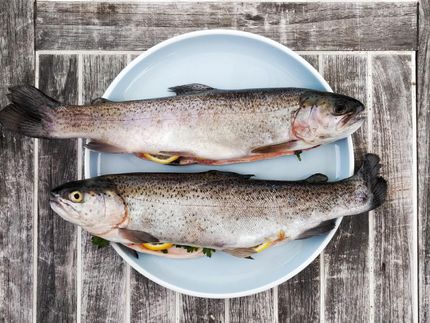 Invisible danger: Listeria in smoked fish