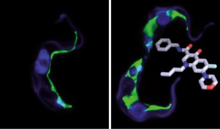 New Agent against Tropical Parasites