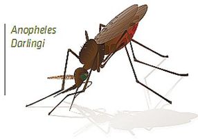 Novel anti-malarial drug target identified