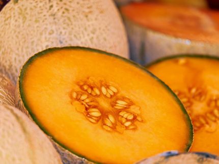 La FDA y sus contrapartes mexicanas fortalecen alianza para la inocuidad alimentaria