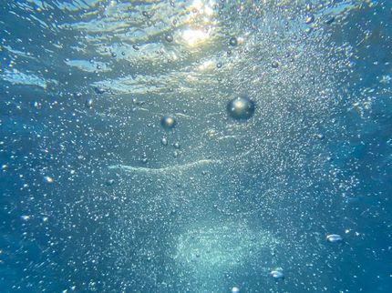 New WWF tool will help Carlsberg build resilience through better understanding of water risk scenarios