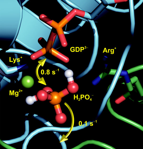 gerwertpnas