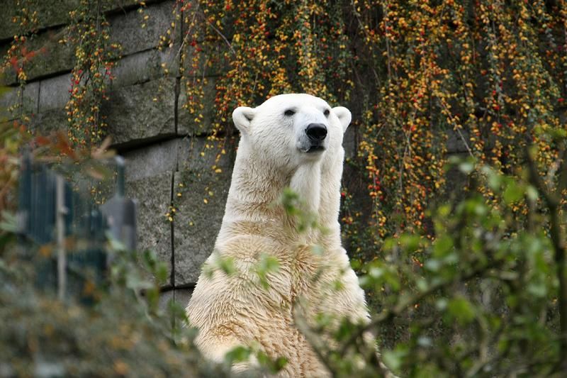 Zoo Wuppertal/Barbara Scheer