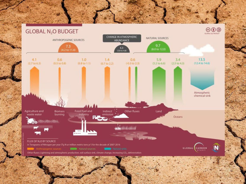 Tian et al. 2020, Nature; Global Carbon Project, International Nitrogen Initiative