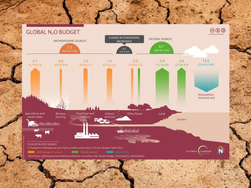 Globale Nahrungsmittelproduktion bedroht das Klima - Für die menschengemachten Lachgasemissionen ist vor allem der Düngemitteleinsatz in der Landwirtschaft verantwortlich