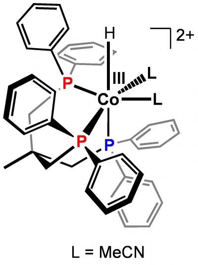 Caltech/Marinescu et al.