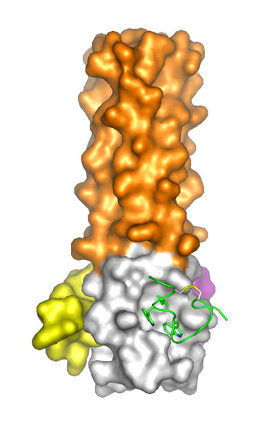 Brookhaven National Laboratory