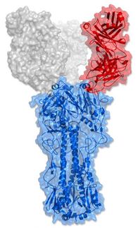 Sea Lane Biotech