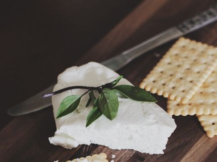 Los productores de queso reaccionan con enojo ante la incautación de queso en México
