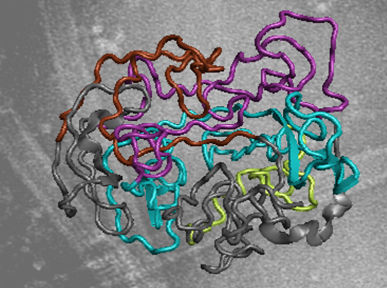 Max-Planck-Institut für biophysikalische Chemie / Zweckstetter