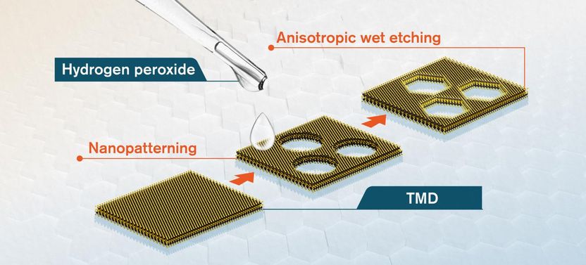 How to make perfect edges in 2D-materials - Researchers tailored the materials’ properties by using a “magic” chemical and founded a start-up company