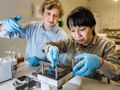 LiU-Forscher entwickeln als erste eine organische Batterie