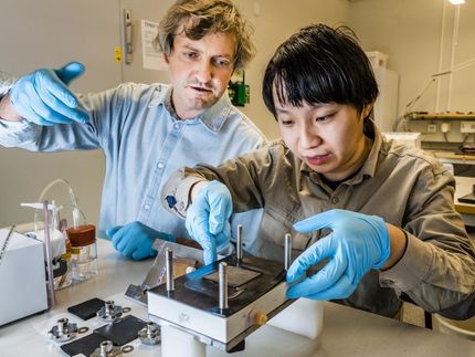 LiU-Forscher entwickeln als erste eine organische Batterie