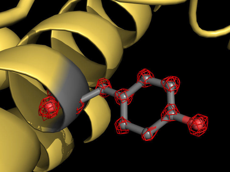 © Holger Stark / Max-Planck-Institut für biophysikalische Chemie