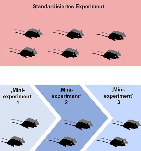 WWU - Abteilung für Verhaltensbiologie