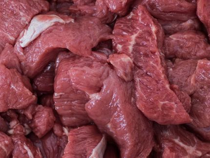 Schärfere Regeln für Fleischbranche