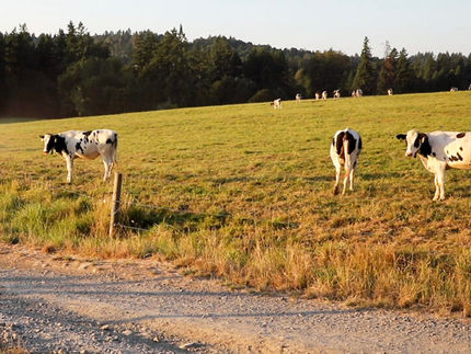 Darigold expands organic offerings