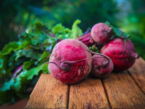 Beetroot peptide as potential drug candidate for treating neurodegenerative and inflammatory diseases