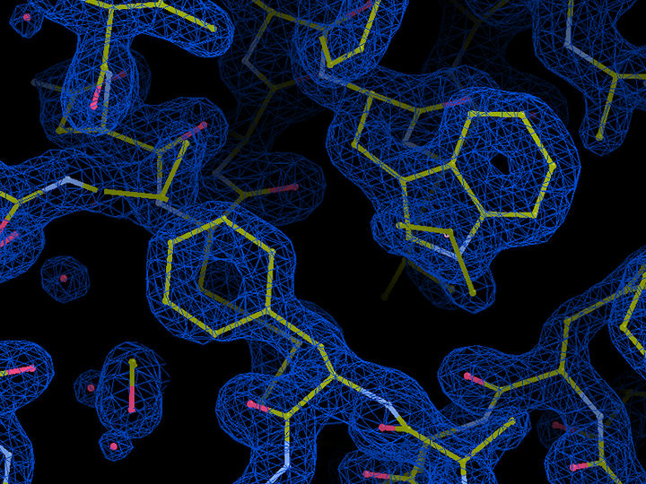 How deadly parasites ‘glide’ into human cells  - X-ray analysis reveals structure of molecular machinery of malaria and toxoplasmosis pathogens