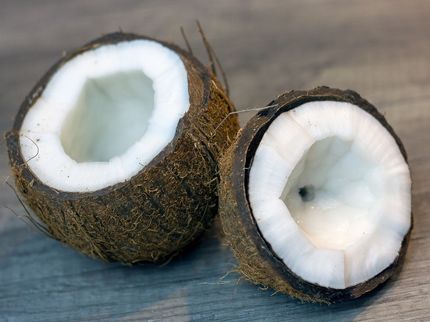 Kokosnusswasser 2.0