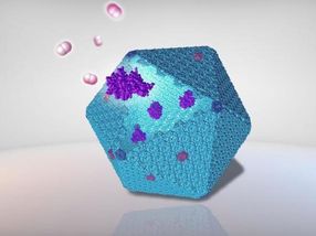 New protein nanobioreactor designed to improve sustainable bioenergy production