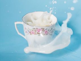 Milchproduzenten wollen Milchpreiserhöhung