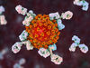 COVID-19: Wie hängen Schweregrad der Erkrankung und die Antikörperantwort zusammen?