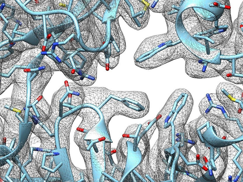 Bakterien unter Stress - Bakterielle Abwehrmechanismen im Detail verstehen