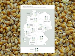 Struktur der Mühlenwirtschaft: Getreidevermahlung konstant — Dinkelmehlerzeugung erneut auf Höchststand