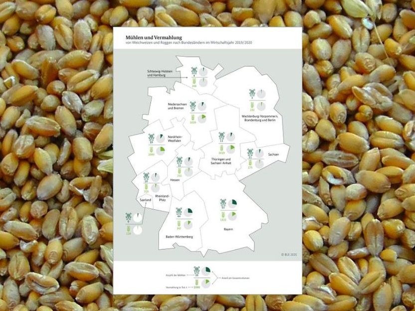 Bundesanstalt für Landwirtschaft und Ernährung