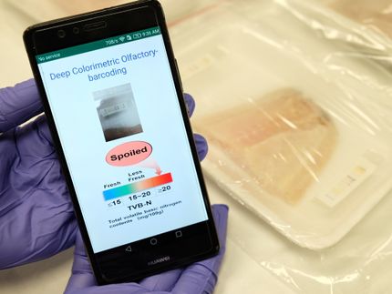 The e-nose comprises a ‘barcode’ that changes colour due to reactions with gases emitted by the decaying meat, and a barcode ‘reader’ in the form of a smartphone app powered by AI, and has been trained to recognise and predict meat freshness from a large library of barcode colours.