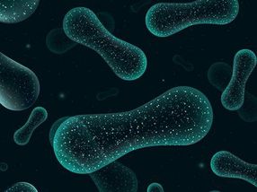 Managing the microbiome raises new hope for autism