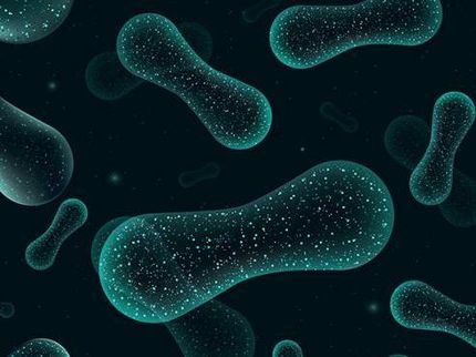 Der Umgang mit dem Mikrobiom weckt neue Hoffnung für Autismus