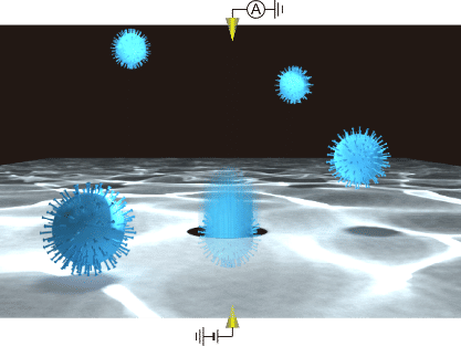 Sorting out viruses with machine learning - Scientists develop a label-free method for identifying respiratory viruses which may lead to new rapid COVID-19 tests